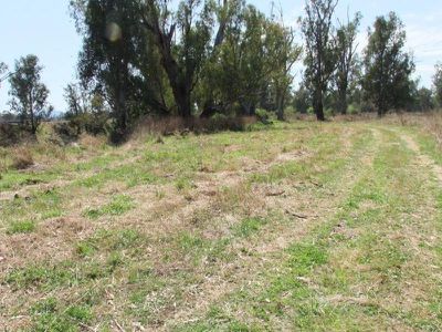 Lot 392 Kamilaroi Highway, Gunnedah