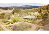 93 Caves Creek Road, Orange