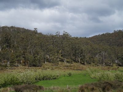 Cross Road, Nicholls Rivulet