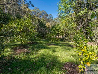 10 / 924 Blue Knob Rd, Nimbin