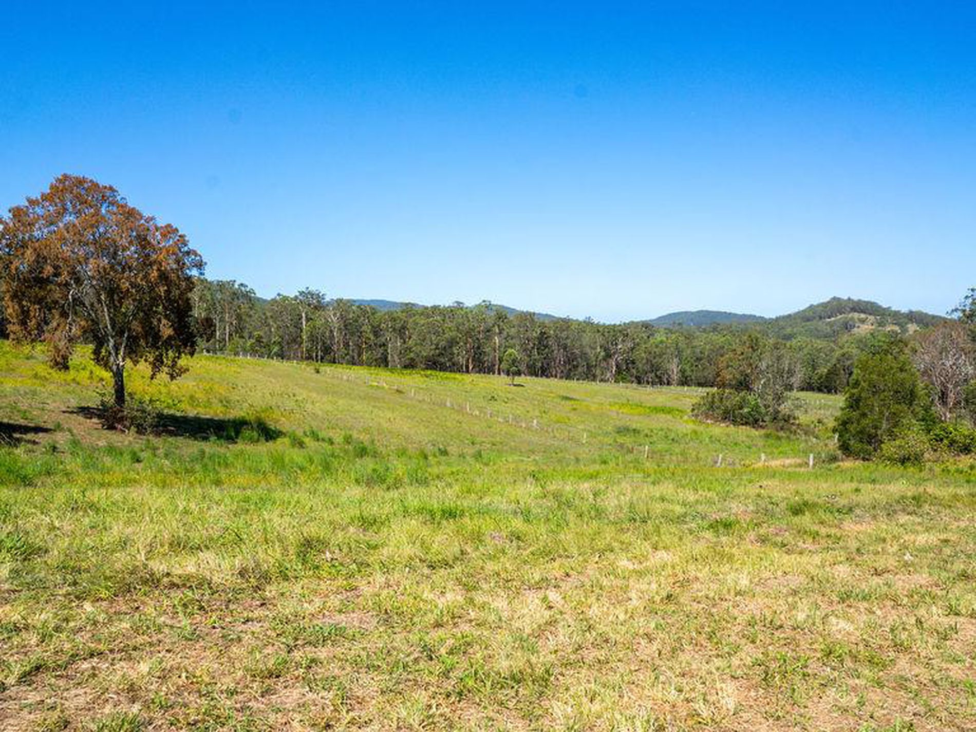 499 Avalon Road, Dyers Crossing