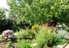 28 Maple Avenue, Orange