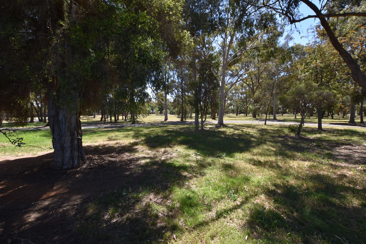 39 Oswald Street, Kyabram