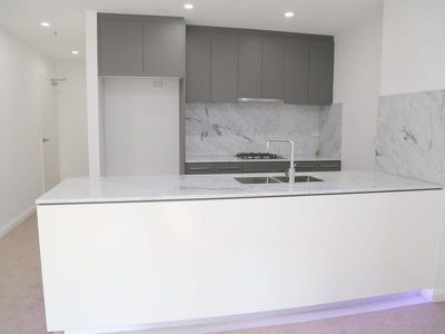 307 / 61 Rickard Road, Bankstown