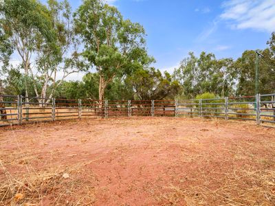 237 Young Road, Baldivis