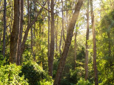 9052 Princes Highway, Tilba Tilba