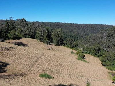 101 Lodge Road, Mountain Top