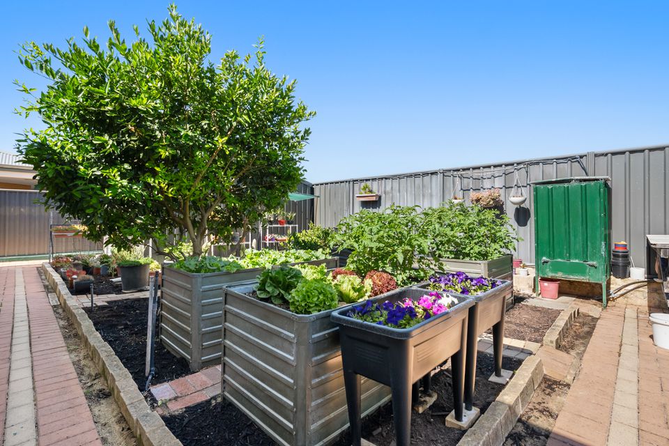 17 Bettong Street, Baldivis