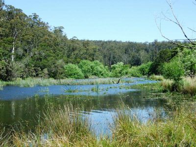 L44 /  50, 72 The Snake Track, Kiah, Kiah