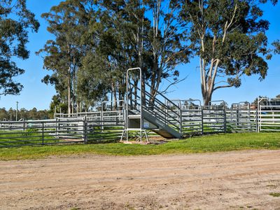 426 Larcombes Road, Reedy Marsh