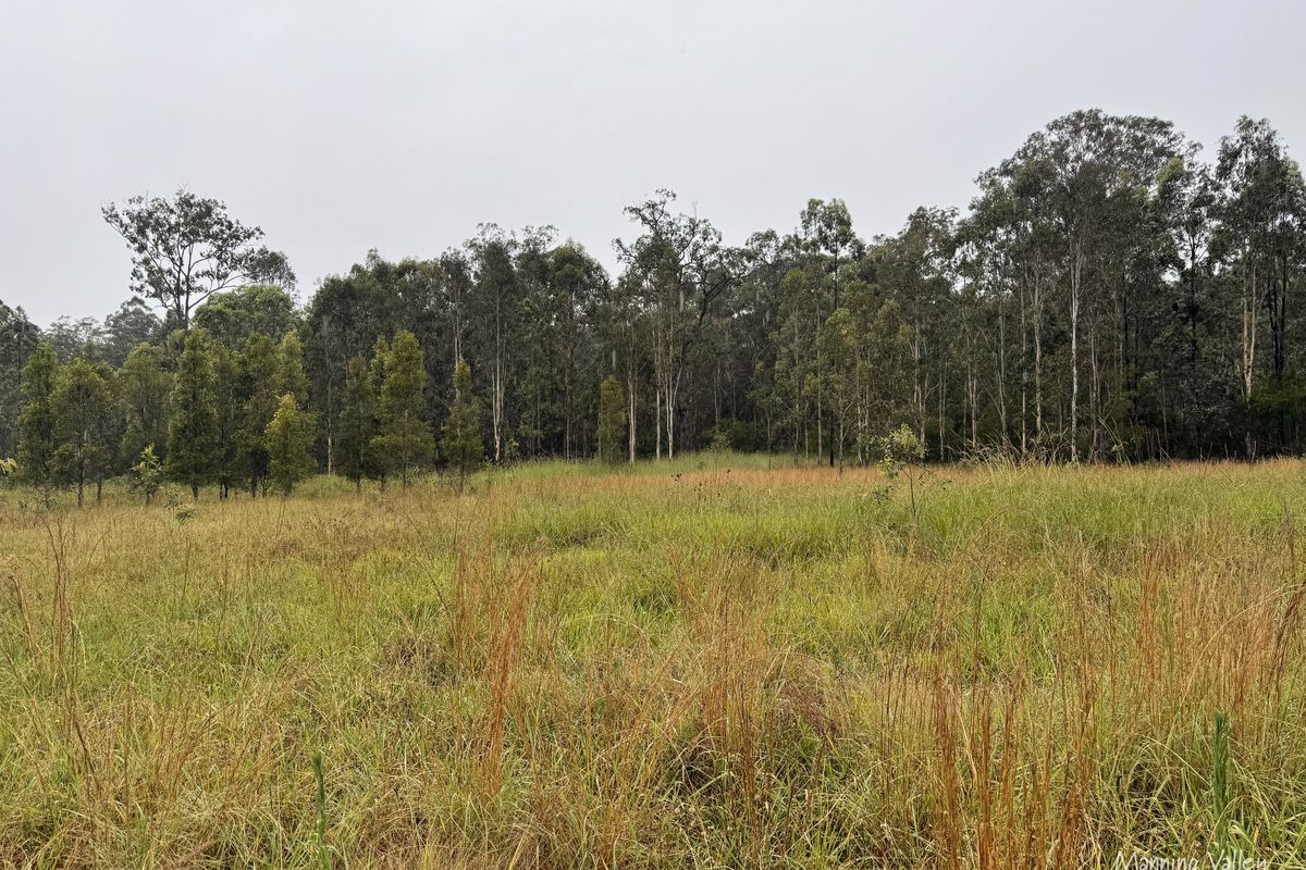 Lot 42, 690 Willina Road, Willina