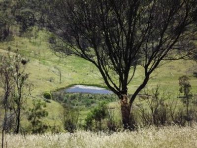 Lot 357 Schroeders Road, Emmaville
