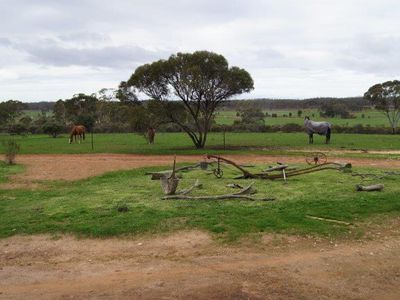 334 Scotts Lane, Wedderburn
