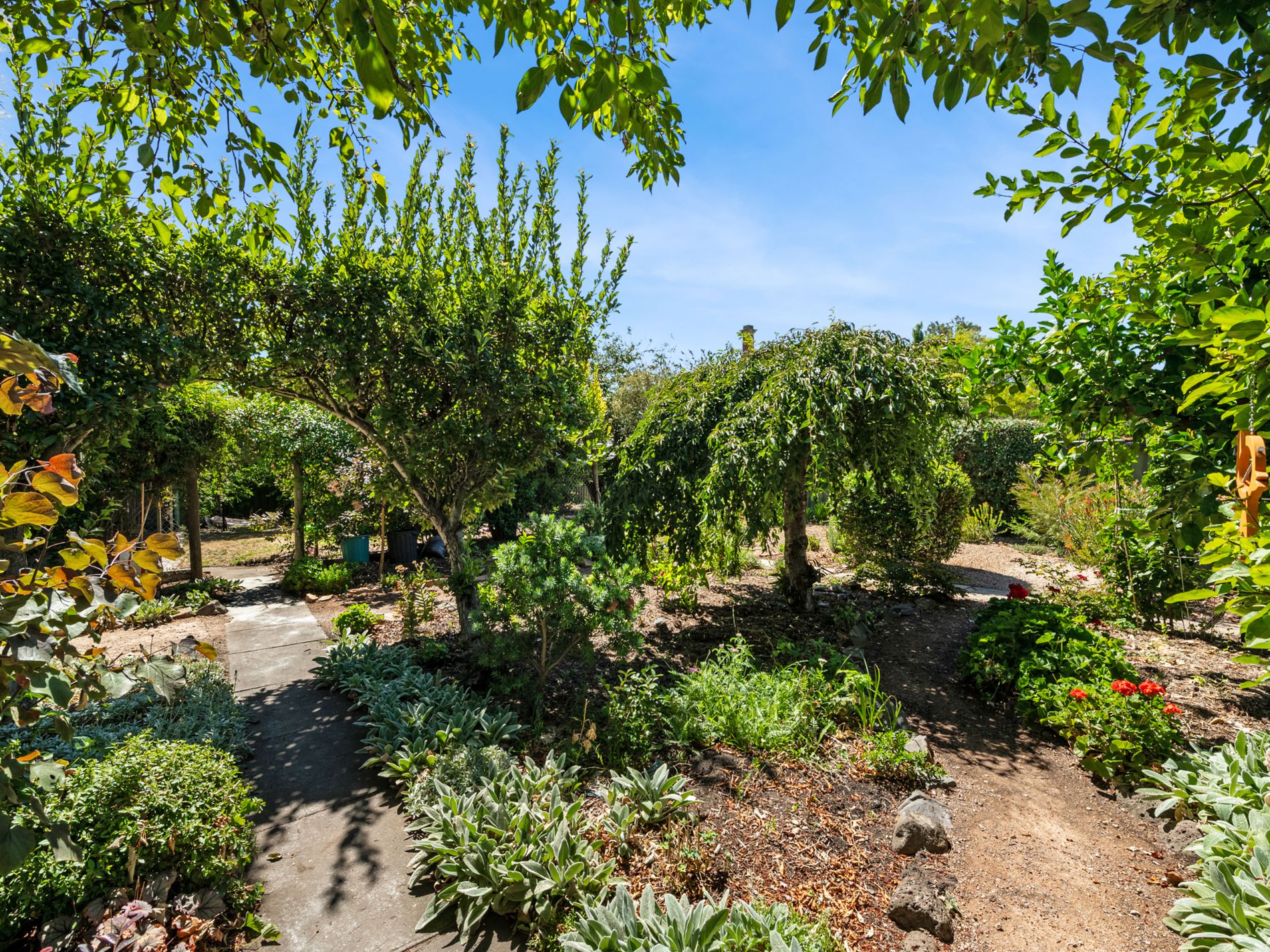 8 Playne Street, Heathcote