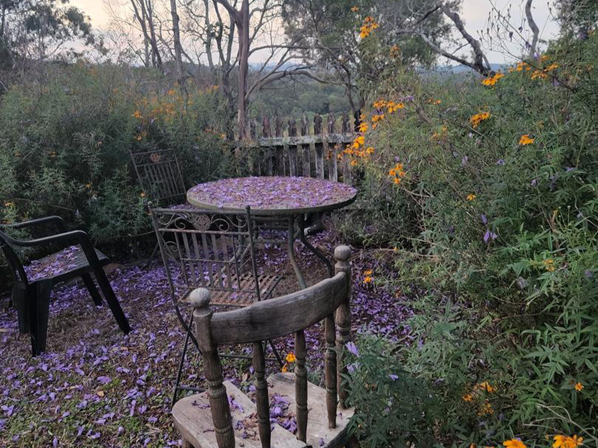 474 Whelan Road, Bollier