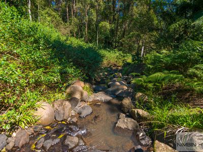 10 / 924 Blue Knob Rd, Nimbin