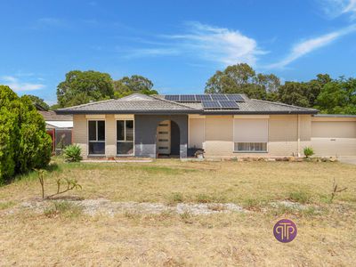 62 Strelitzia Avenue, Forrestfield