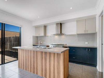 13 Cottonfield Way, Tarneit