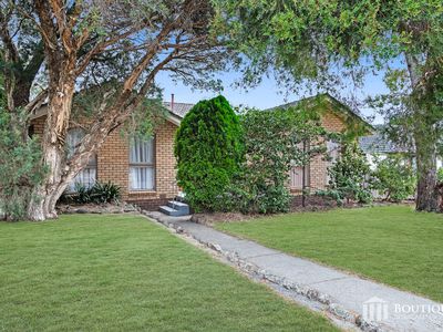 42 Brentwood Drive, Glen Waverley