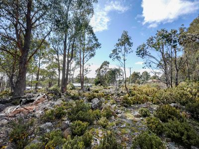 22 Arthurs Lake Road, Wilburville