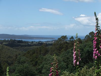 Palmers Road, Oyster Cove