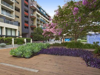 8 / 252 Botany Road, Alexandria