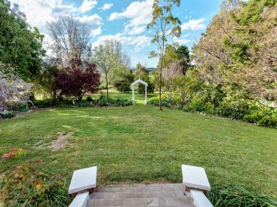 61 Adams Lane, Staghorn Flat