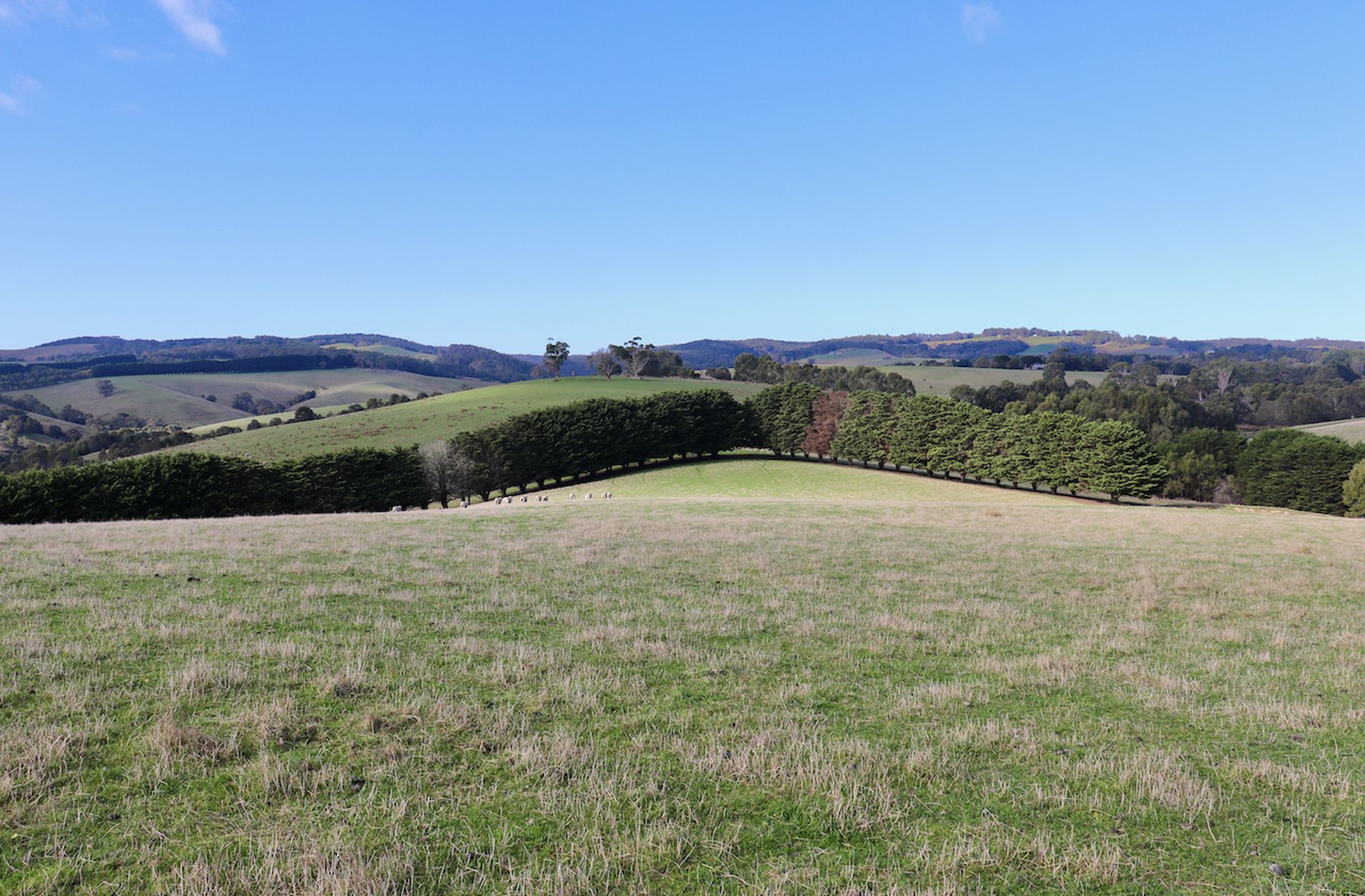 Fords Outlet Road, Deans Marsh