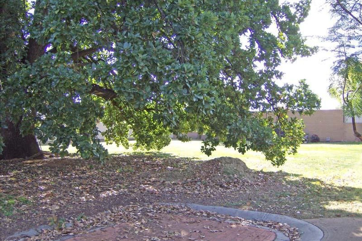 7 Oak Dene Court, Kyabram