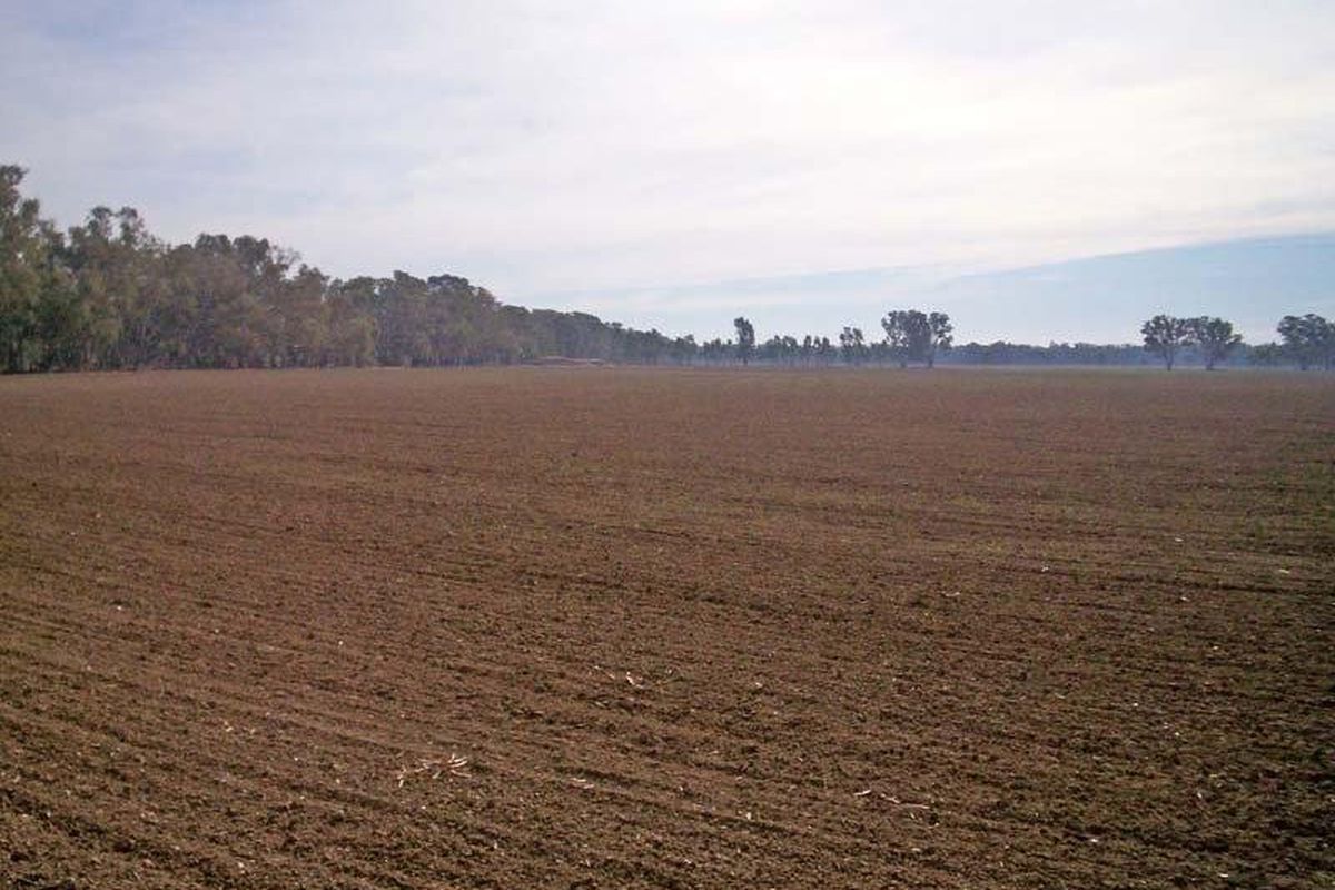 Cnr Davies Roads & Warren Roads, Undera