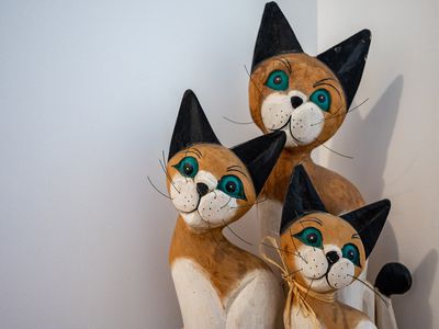 16 Willoughby Ramble, Harrisdale