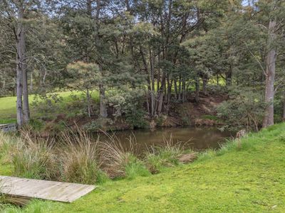 179 Guys Road, Cygnet