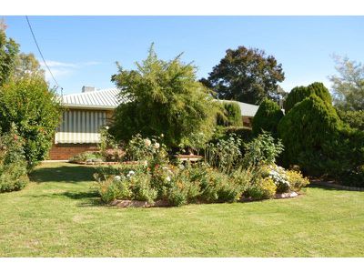 35 McAndrew Street, Gunnedah