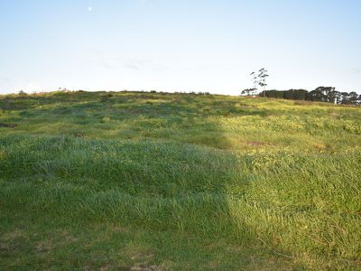 Lot 5-8, 64, Mount Gambier Road, Millicent