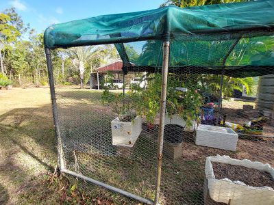 1698 Endeavour Valley Road, Cooktown