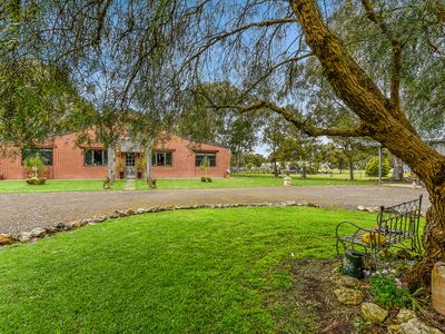 169 Williams Road, Millicent