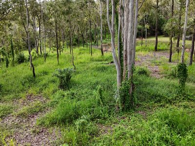 Lot 921, Bulankoff Road, Tolga