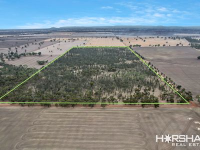 Lot 8, 8 Donald Swamp Road, Mockinya