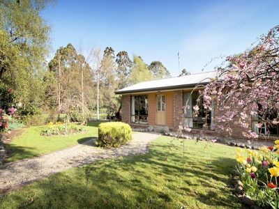 15 Wattle Hill Road, Mountain River