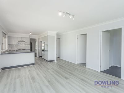 19 Hakea Parade, Medowie