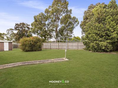 16 Kennedy Court, Cranbourne North