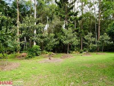 17 Palm Grove Crescent, Tewantin