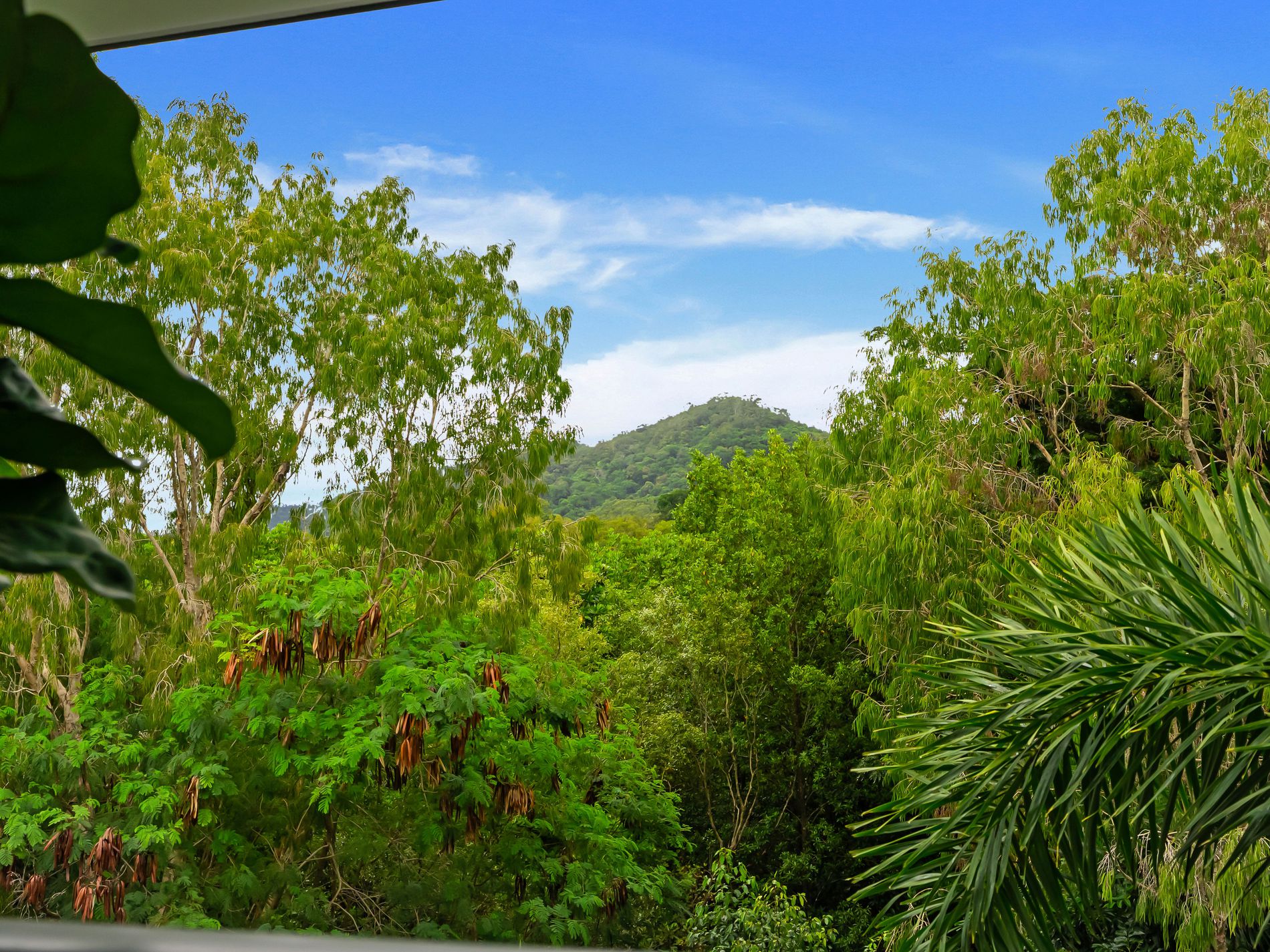 14 / 9-15 Mclean Street, Cairns North