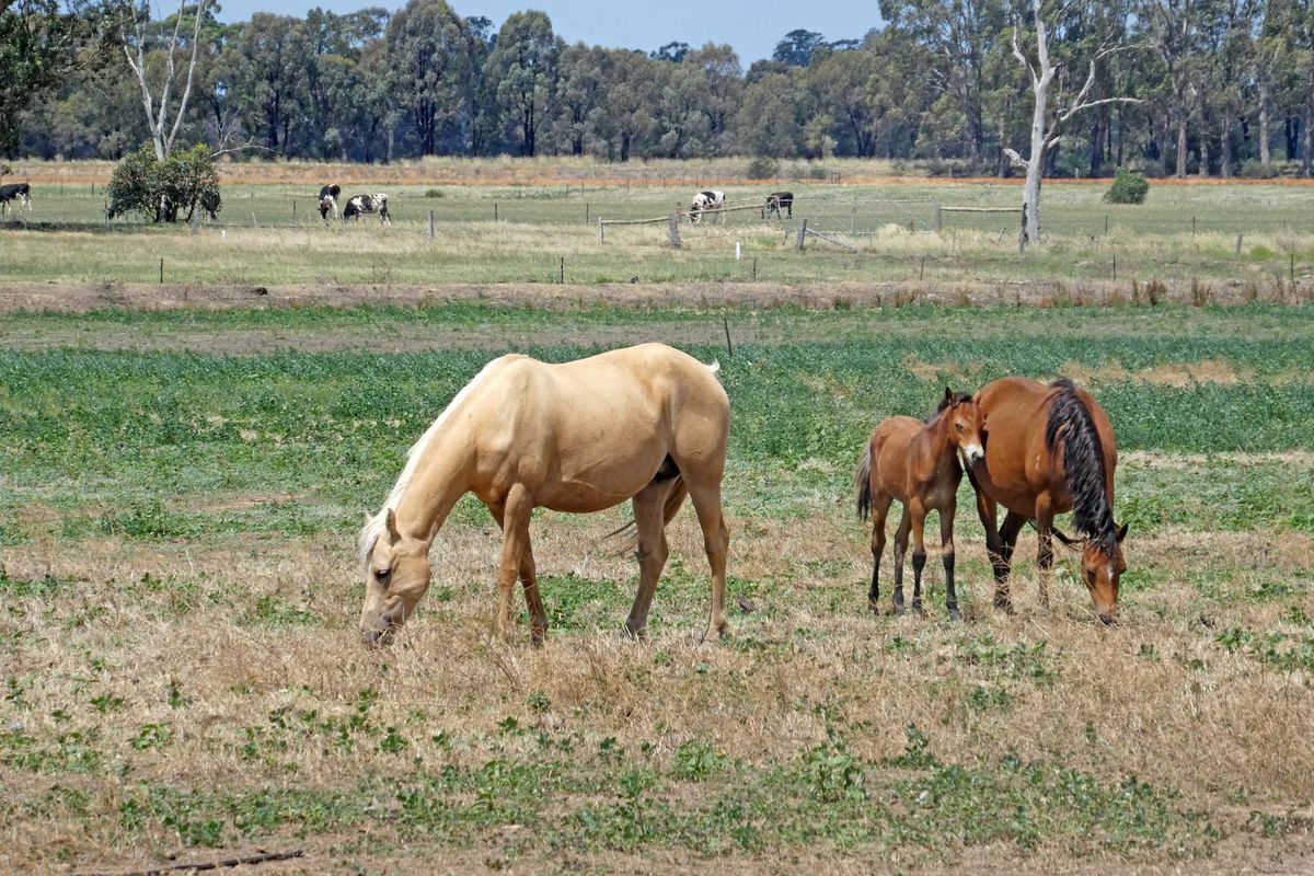 48 Martin Road, Stanhope
