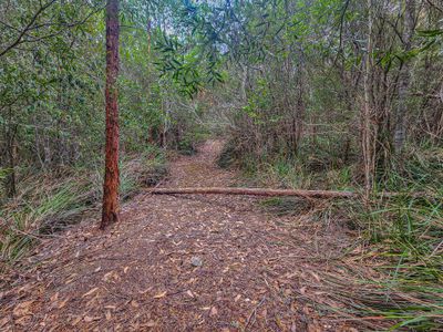 Lot 1, Link Road, Lonnavale