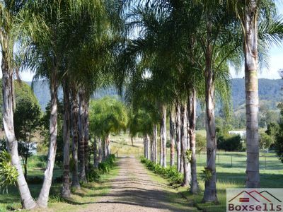 566 Eastern Mary River Rd , Maleny