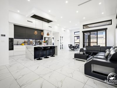 57 Ribbonwood Crescent, Marsden Park