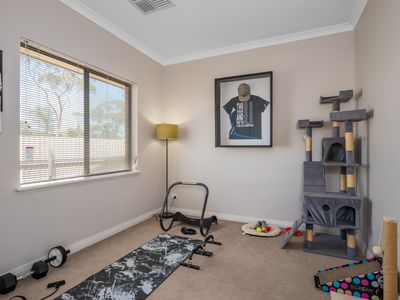 14B Purna Place, Hannans