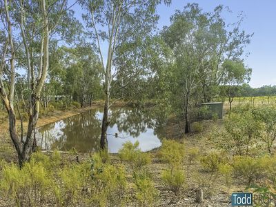 39 Reynolds Court, Graytown