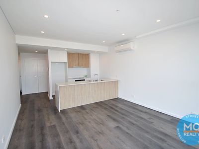 1004 / 11 RAPHAEL STREET, Lidcombe